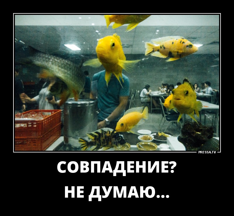 Веселые жизненные демотиваторы Веселые жизненные демотиваторы