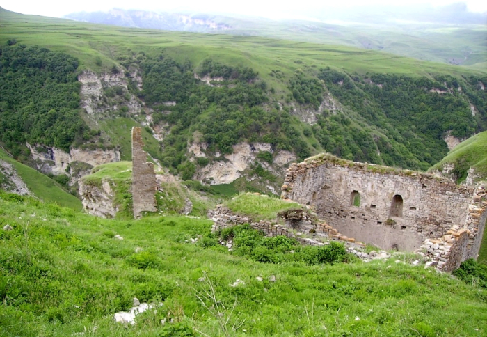 Алдам-Гези, Чеберлоевский район, Чечня. / Фото: www.elinium.livejournal.com