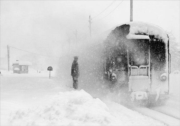 Чёрно-белые снимки с элегичными мотивами 