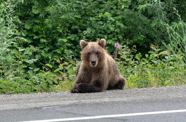 Вся правда о Коми Путешествия,Россия,фото