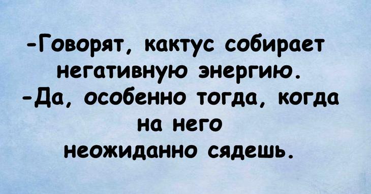 Юмористическая подборка, способная сотворить чудо с настроением 