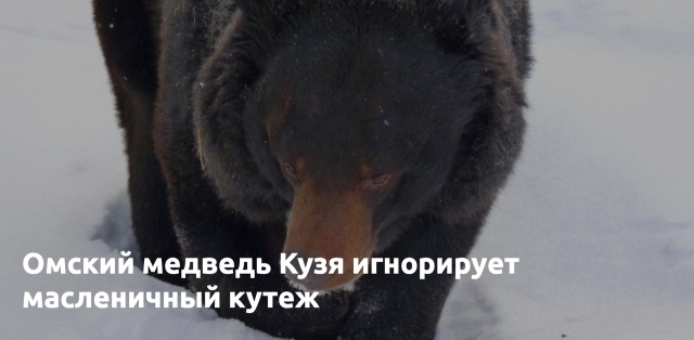 Подборка смешных картинок  смешные картинки