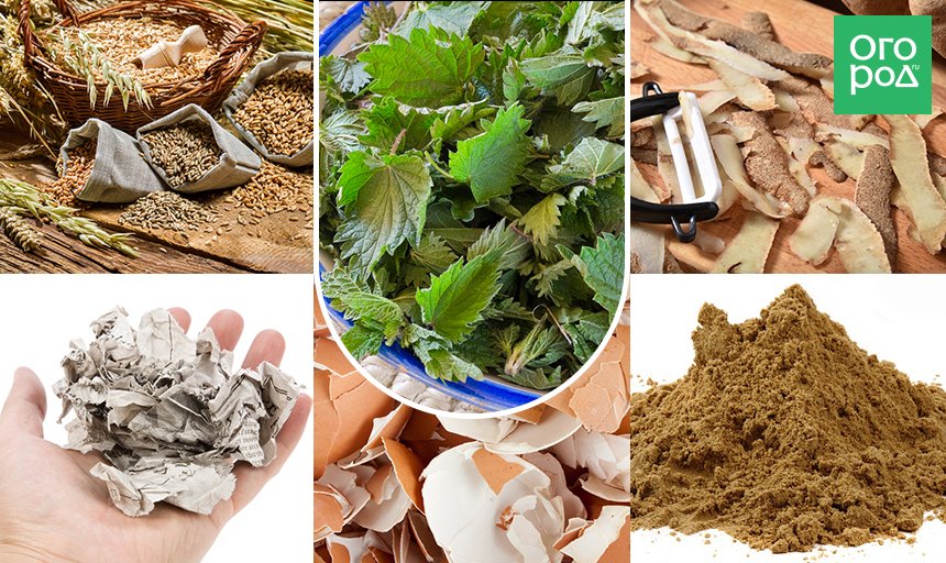 Как отмыть изнутри емкость с узким горлышком полезные советы,посуда