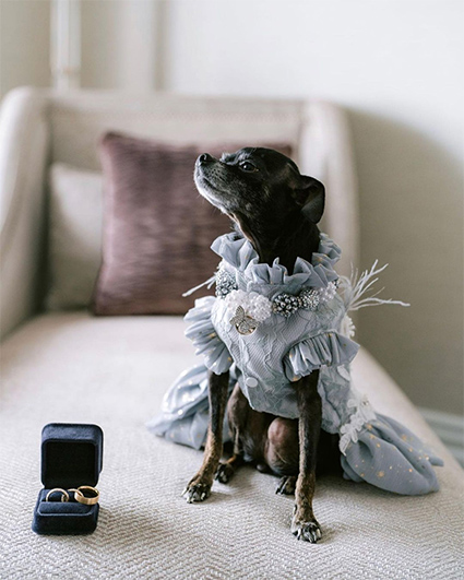 Платья от Джона Гальяно, звезды среди гостей и собачка с кольцами: как прошла свадьба наследницы миллиардера Айви Гетти Звездные пары