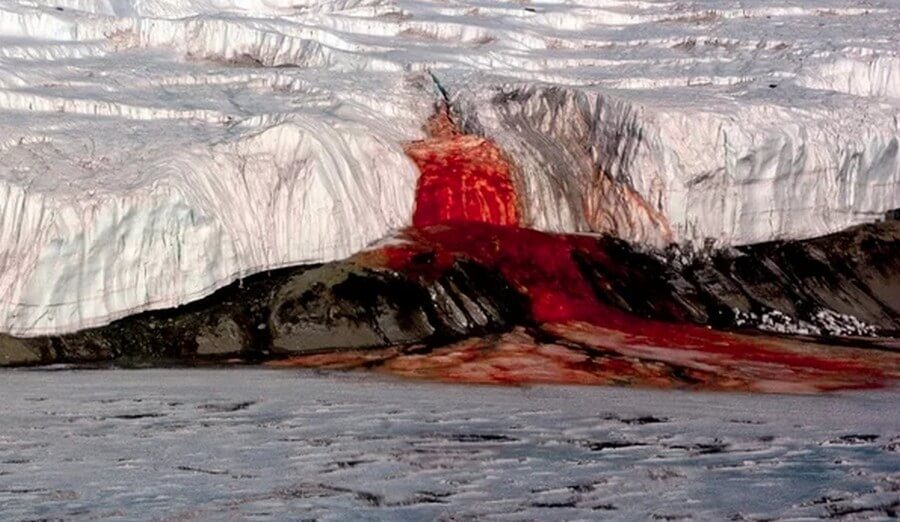 Кровавый водопад — пугающее зрелище в Антарктике Восточной, которые, леднике, озеро, которое, образовалось, назадВ, озере, обитают, микроорганизмы, одним, результатов, жизнедеятельности, которых, являются, железа, очередь, является, соединяясь, кислородом