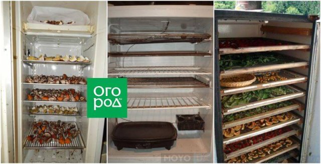 Что можно сделать из старого холодильника: 15 лучших идей для дома и дачи,новая жизнь старых вещей