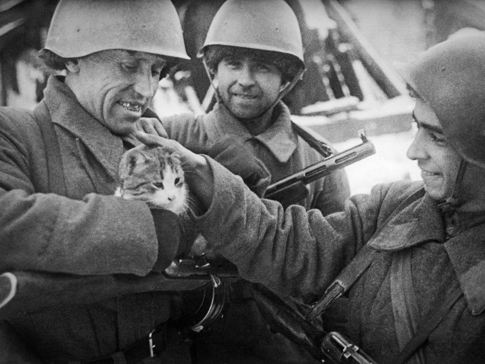 Кошки на войне 1941-1945