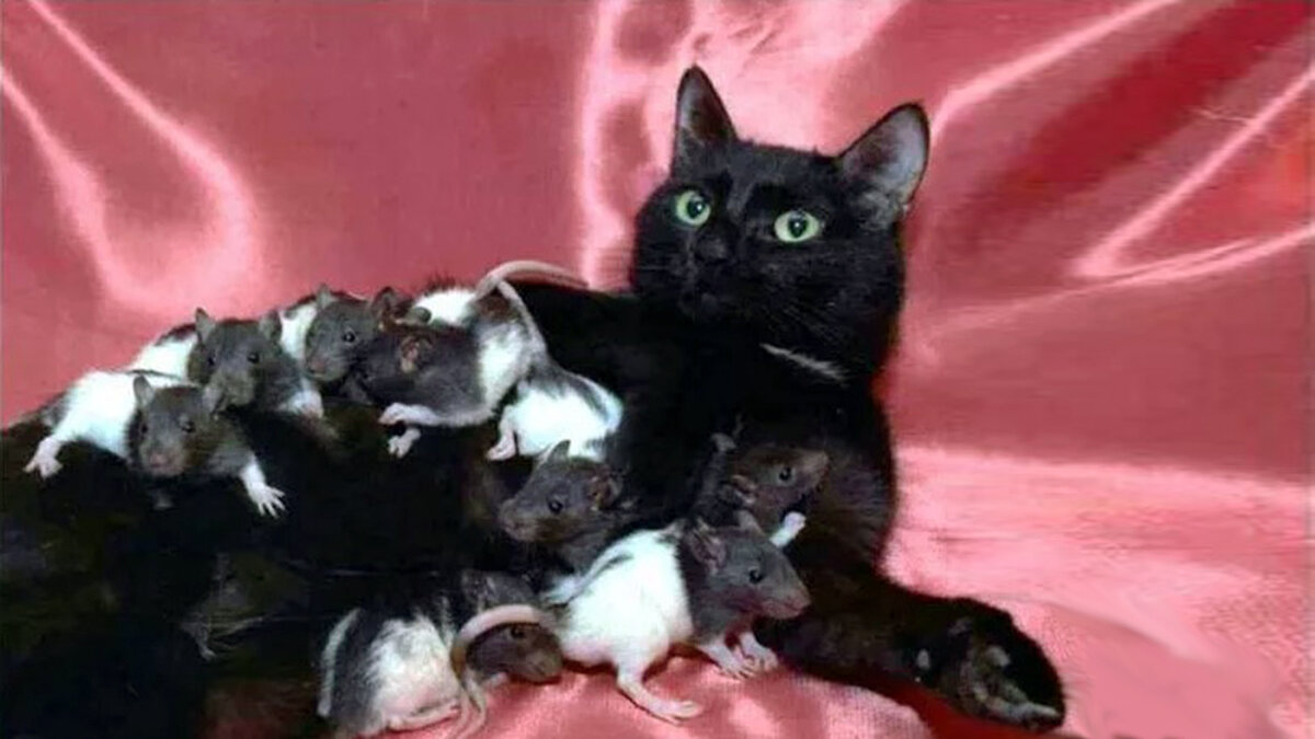 Мой личный ад