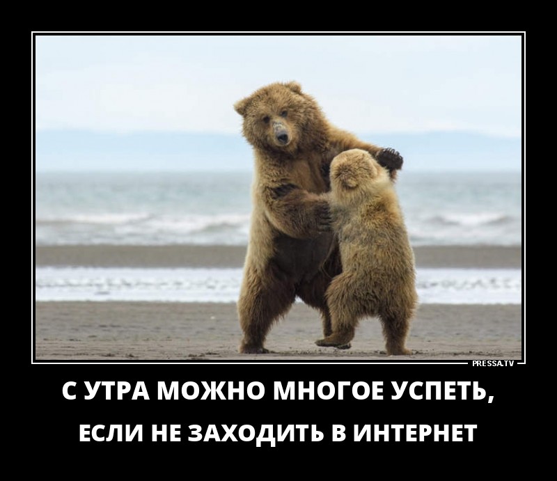 Веселые жизненные демотиваторы Веселые жизненные демотиваторы