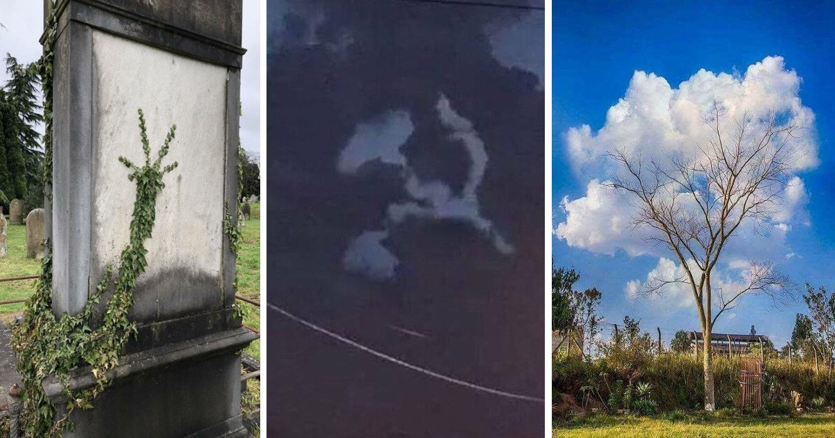 Шутки за 300 от матушки-природы