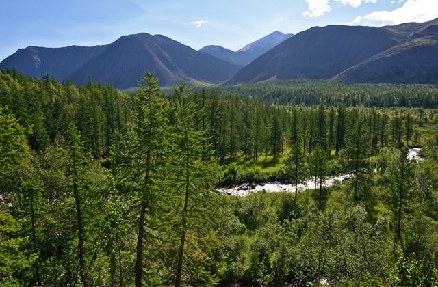 Вся правда о Коми Путешествия,Россия,фото
