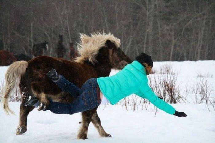 Прикольные картинки и веселые фотографии до слез 