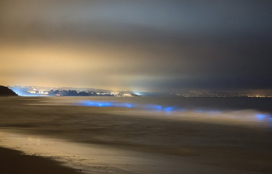 Карлсбад, штат Калифорния, США&nbsp;
Неоновые синие волны можно наблюдать и у пляжей Калифорнии. В определенный период у берега скапливается фитопланктон. При движении волн, когда волна накатывает на берег, образуется свечение.