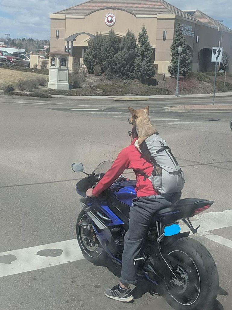 Подборка веселых и интересных картинок авто и мото,автоновости,автоюмор