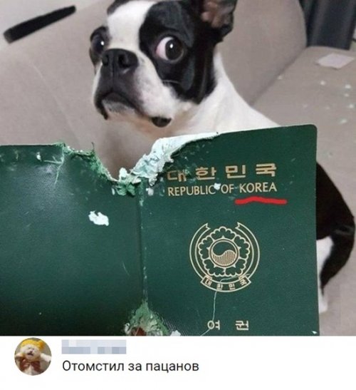 Позитивчик в забавных картинках Позитивчик в забавных картинках