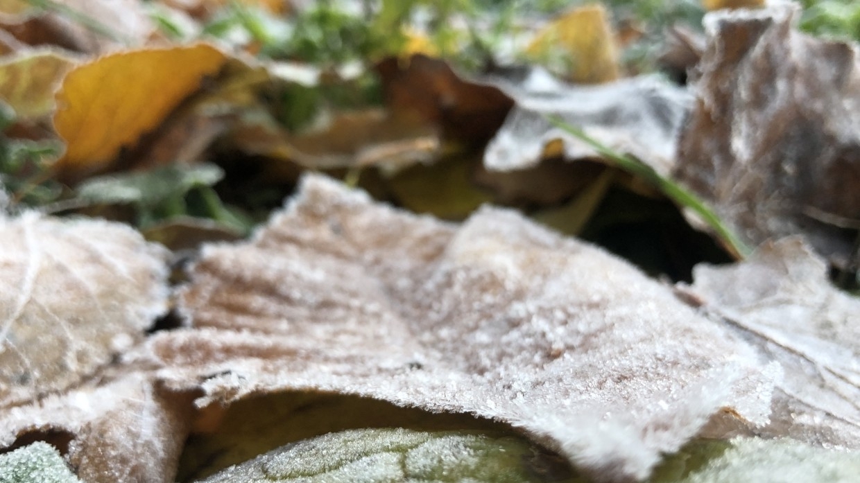 Гидрометцентр России спрогнозировал заморозки в конце лета