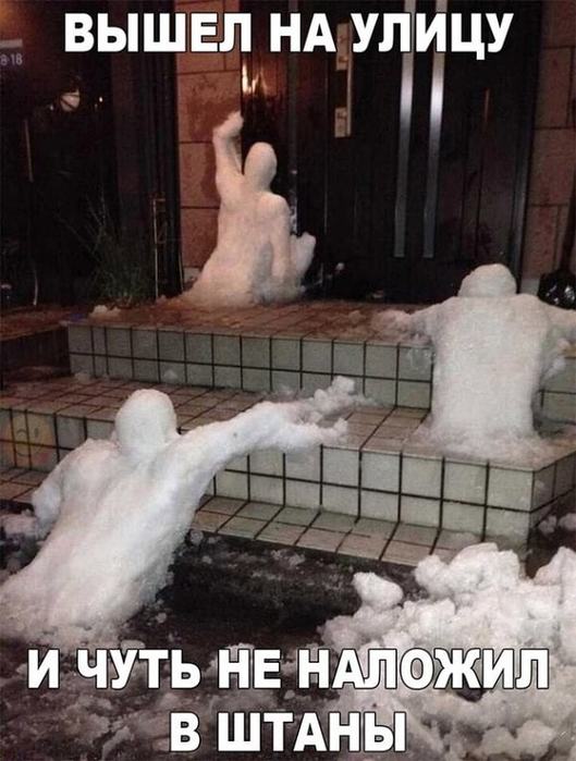 Идеальная жена - как таракан. Её видишь или ночью, или на кухне анекдоты,веселые картинки,приколы,юмор