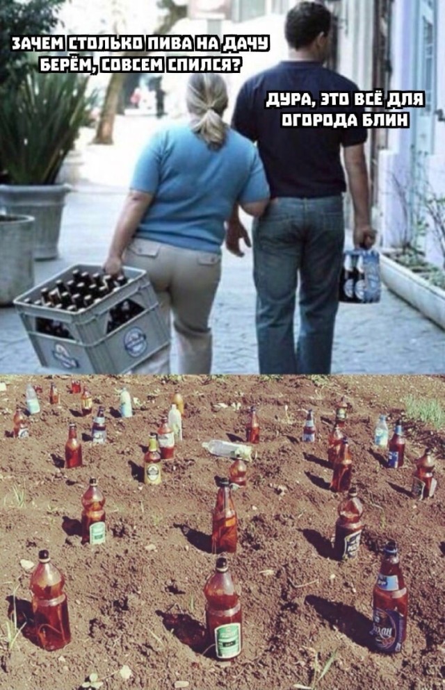 Подборка картинок. Вечерний выпуск Подборка картинок. Вечерний выпуск приколы,смешные картинки,юмор