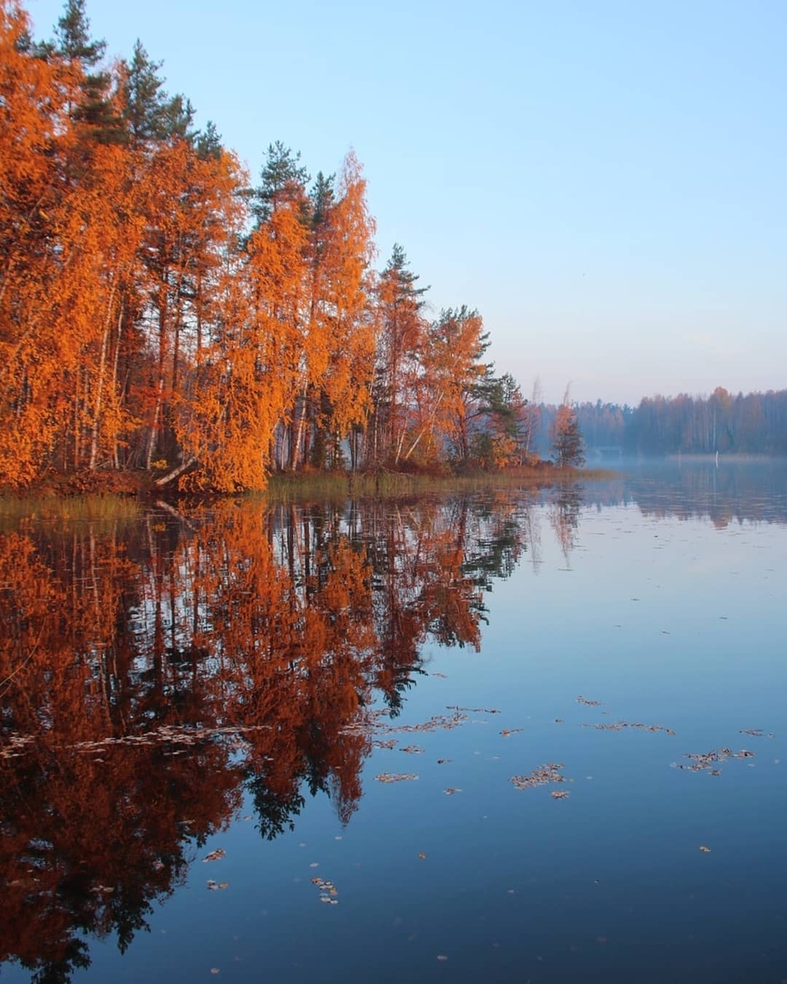 Подборка прикольных и классных фотографий из нашей жизни 