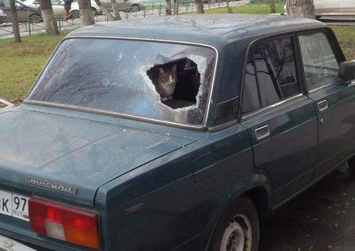 Фото, которые возможно было сделать только в России. Часть 67 (40 фото)