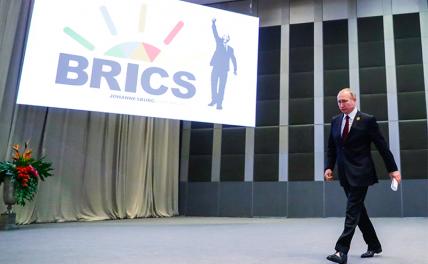 Путём Айболита: Президент РФ готов отправиться на саммит БРИКС в Африке даже без гарантий безопасности геополитика,г,Москва [1405113],россия