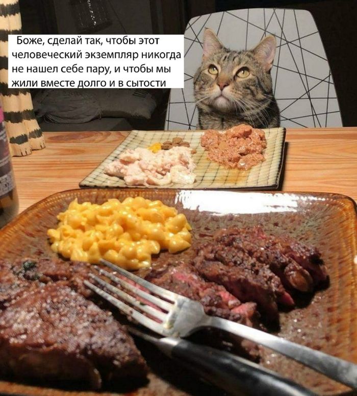 Юмор для тех, кто уже повзрослел и понял, что «новый опыт» - это другой сорт макарон 