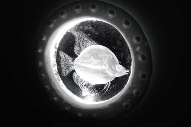 Иглу класса люкс на вершине горы Иглу класса люкс на вершине горы юмор