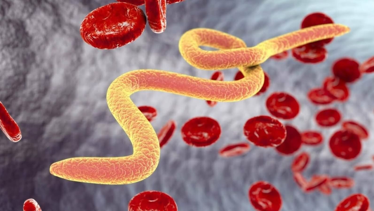 Screenshot_2025_09_20-18