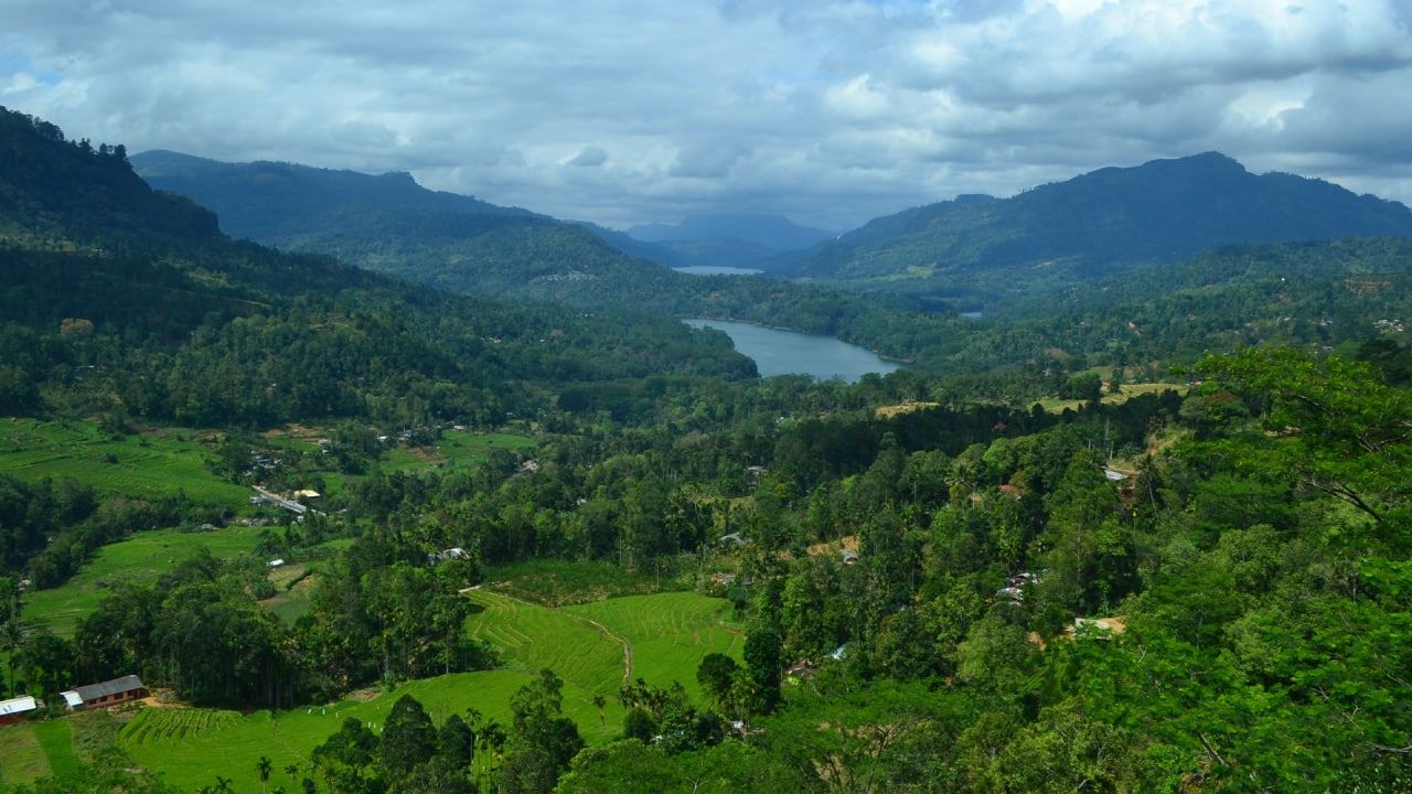 Правительство Шри-Ланки намерено возобновить прямые полеты с Россией