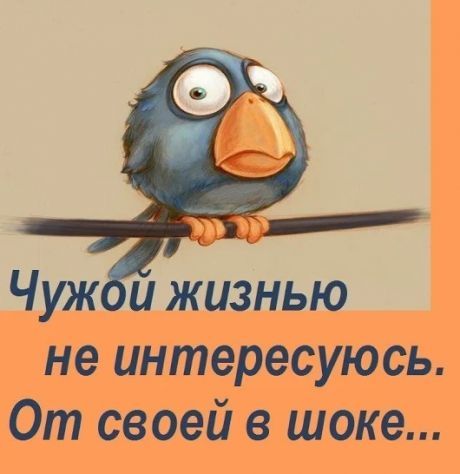 В автобусе женщина-кондуктор подходит к пассажиру - молодому мужчине: - Ваш билет?... натрия, говорит, нашел, ходят, Рядовой, Итого, плоскогубцы, опять, молоток, Слышь, мужик, монашка, Через, бабушки, женщинакондуктор, делаете, женой, ничего, автобусе, умерВ