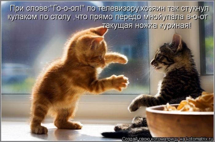 Лучшие котоматрицы за прошедшую неделю