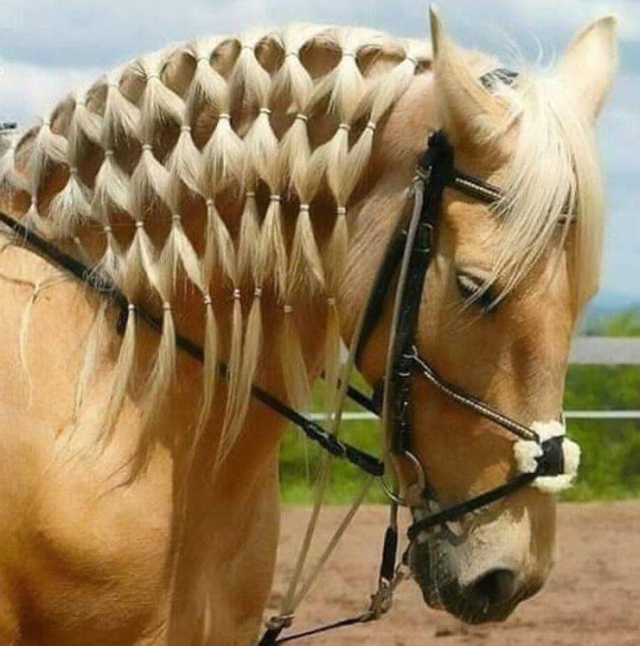 Подборка смешных картинок  смешные картинки