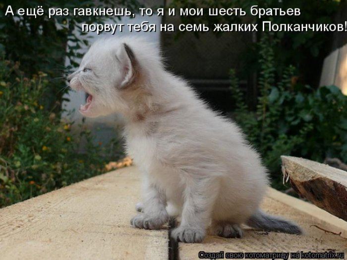 Поза йога, картинки с надписью заноза