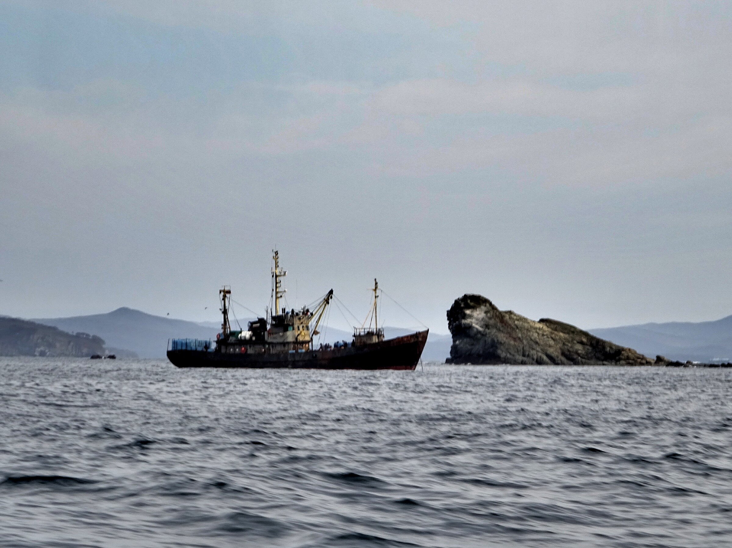 Путешествие к тюленям Ларги. Камни Унковского Путешествие к тюленям Ларги. Камни Унковского