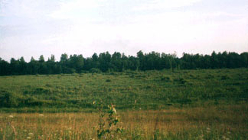 Болотинка у деревни Тишково