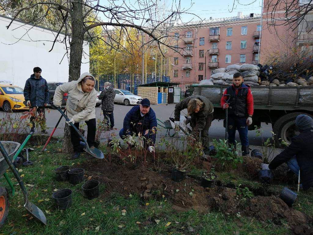 Экологические проекты в москве