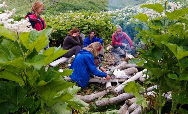 На Сахалине нашли лопухи, которые выросли выше человеческого роста Культура