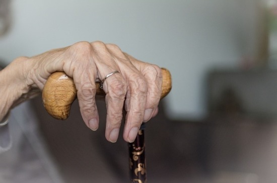 Ученые раскрыли секрет долгожительства