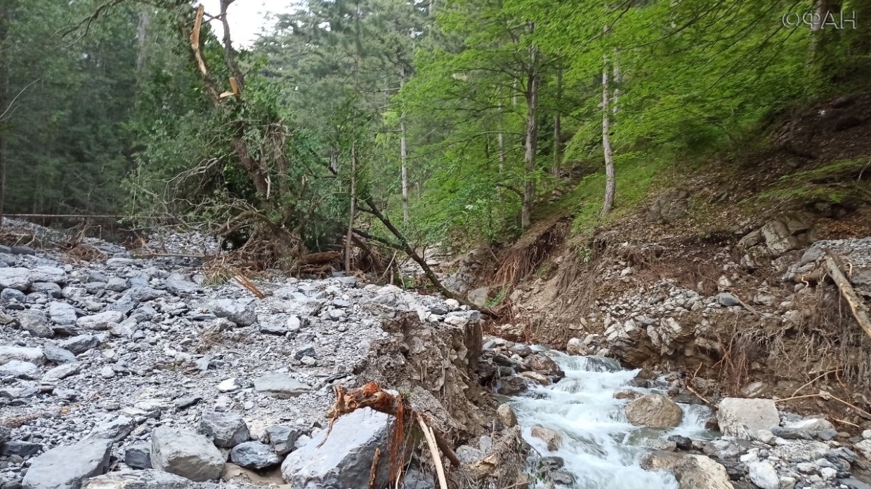 Эколог объяснила, как наводнения в Керчи и Ялте повлияли на природу Крыма Происшествия