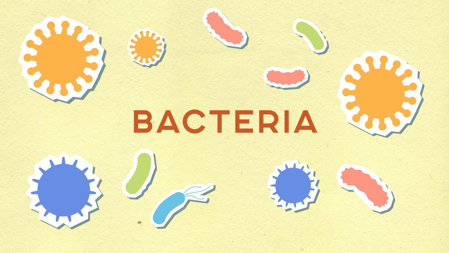 Модная бактерия хеликобактер пилори: как она передается и у кого способна вызвать рак желудка, также, чтобы, странах, которые, развивающихся, дыхательный, меченной, бактерии, зависит, мочевиной, детей, всего, желудок, заражения, клеток, слизистой, желудка•, бактерия, отделов
