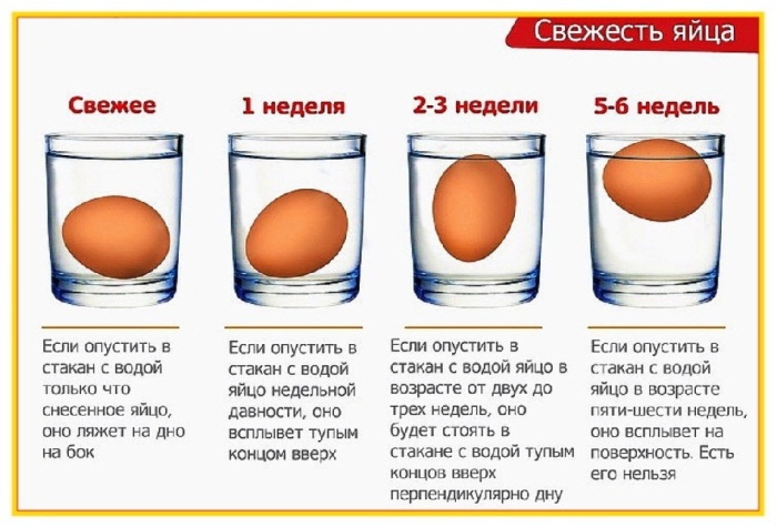 2 способа, как определить свежесть куриных яиц, чтобы потом не пожалеть желток, халаза, которого, более, продукт, располагается, время, совсем, стоит, около, массы, белок, следует, взбивания, неверно, процессу, мешает, вредная, убирать, влияет