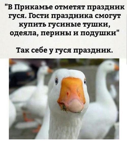 Юмористические открытки 