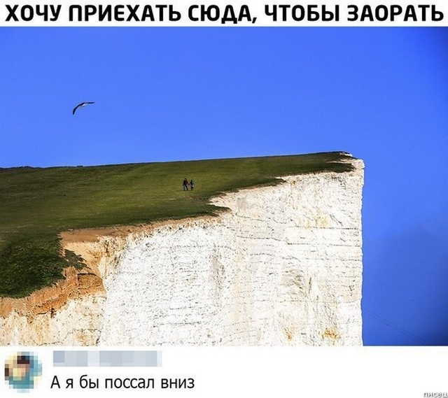 100% ржака, от которой болит живот