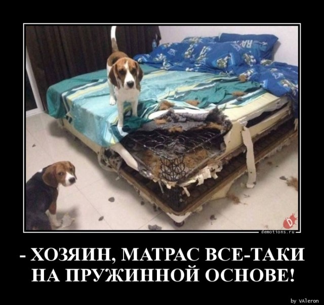 Демотиваторы прикольные для всех: «Начинайте свой день с чего-то положительного» 