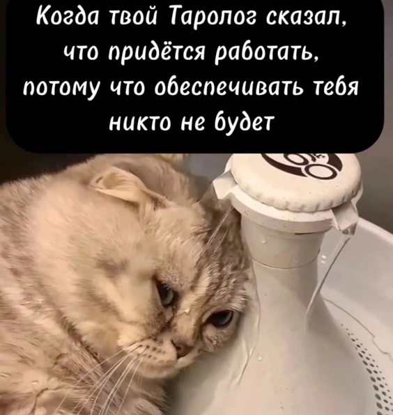 Развелся, вылез зуб мудрости. Без комментариев Развелся, вылез зуб мудрости. Без комментариев очень, новости, чтобы, врагов, сегодня, удалось, России, голос, мороженое, мужик, хорошая, пришел, хорошей, плохая, когда, только, ведёт, сейчас, нужно, конечно