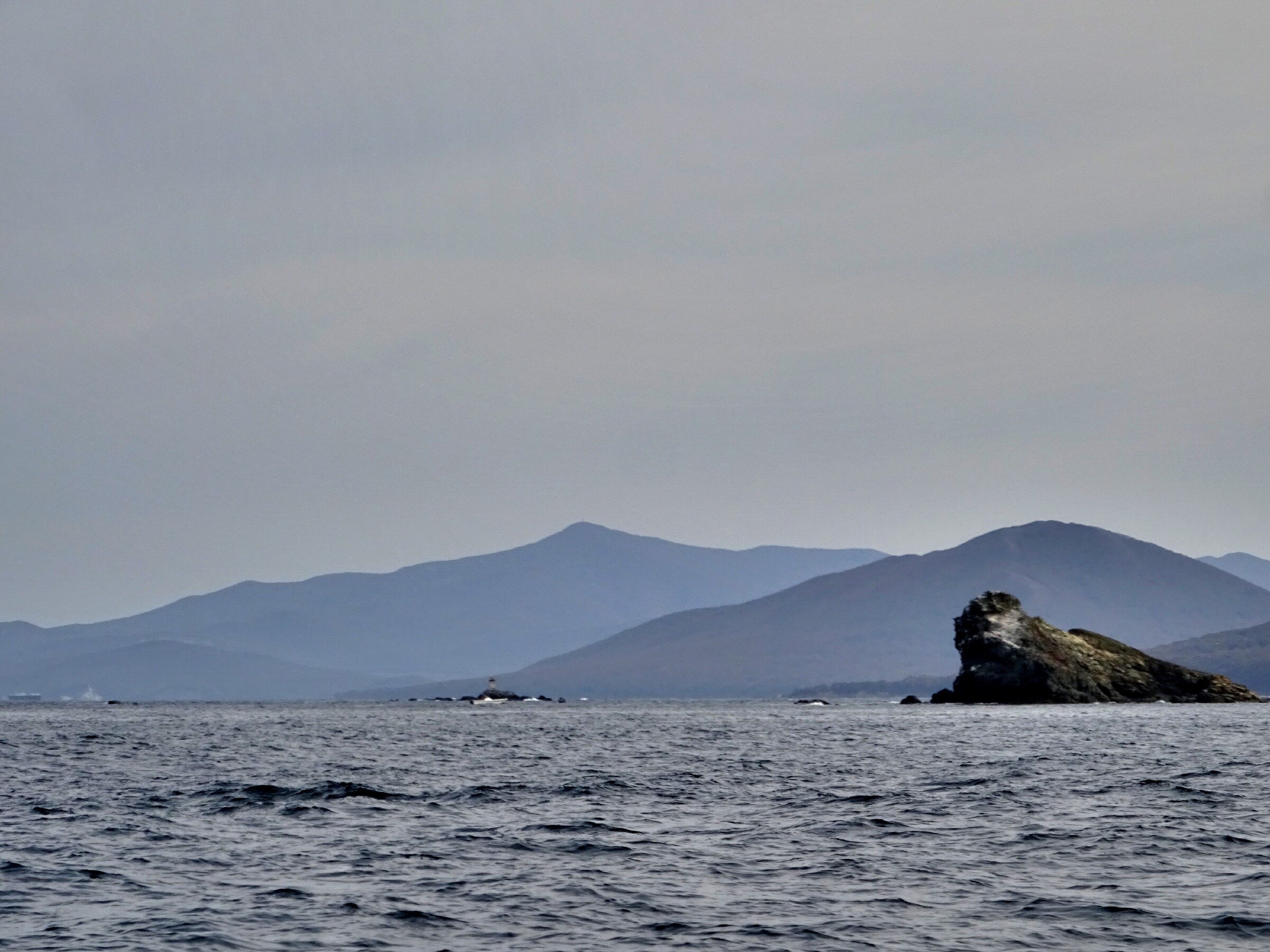 Путешествие к тюленям Ларги. Камни Унковского Путешествие к тюленям Ларги. Камни Унковского
