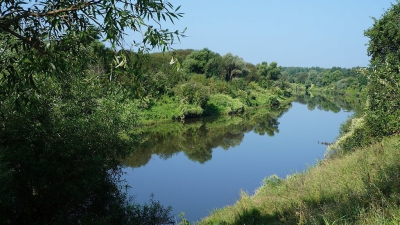 «Алатырь мы загубили»: в Мордовии назревает экологическая проблема из-за сброса нечистот