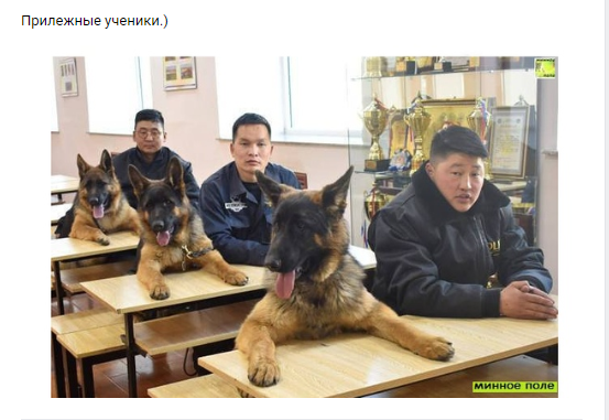 Новый год к нам мчится, скоро всё случится...) Новый год к нам мчится, скоро всё случится...)