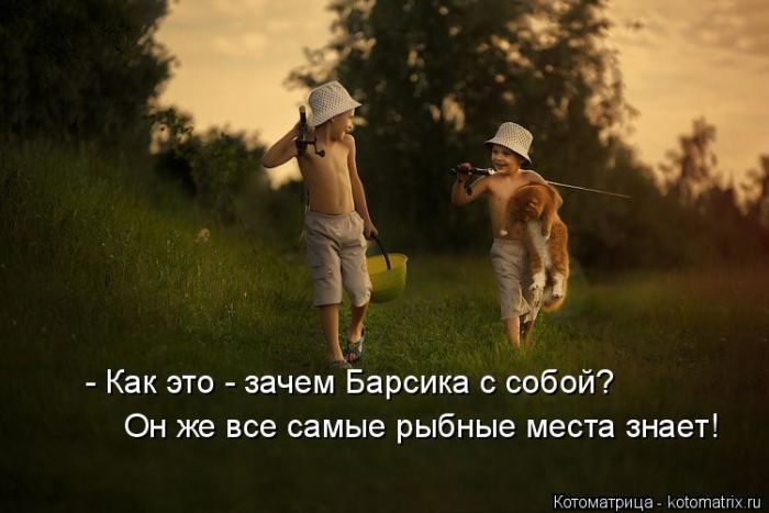 Лучшие котоматрицы за прошедшую неделю