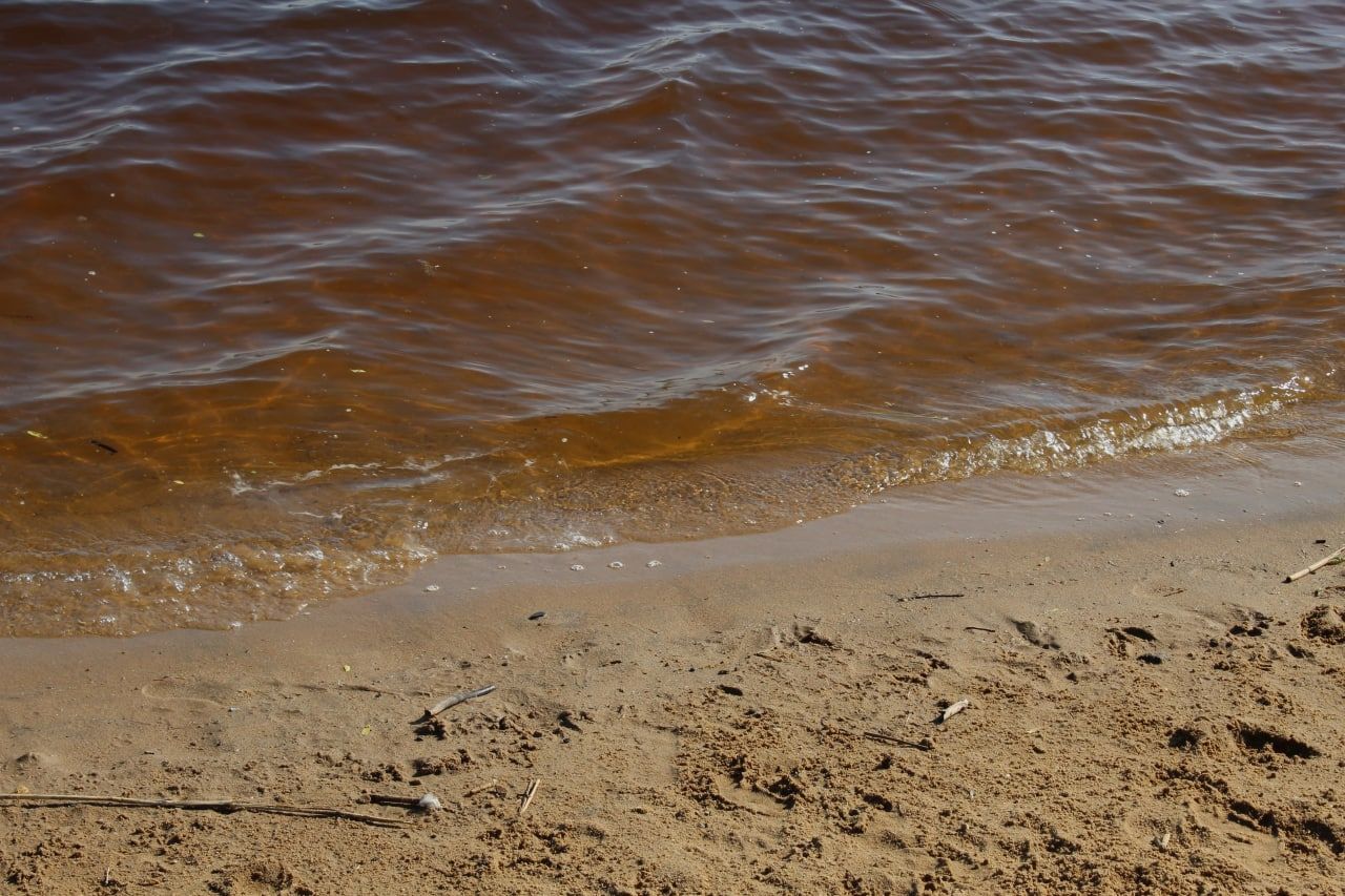 Купание в необорудованном месте привело к гибели женщины в водоеме Волховского района